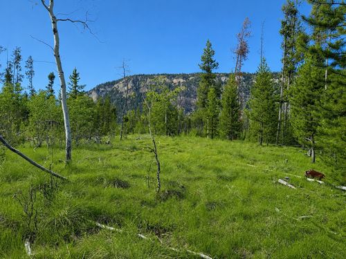 Lot 26 TBD Mitchell Drive, Anaconda, MT, 59711 | Card Image