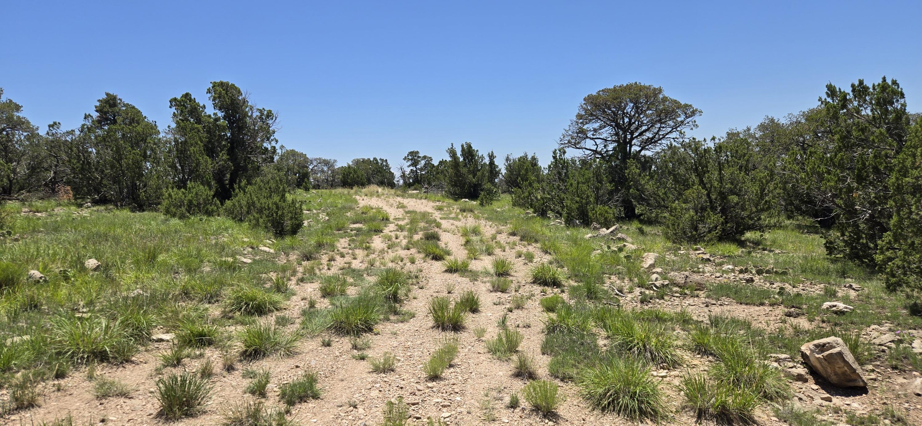 Land in Corona 5