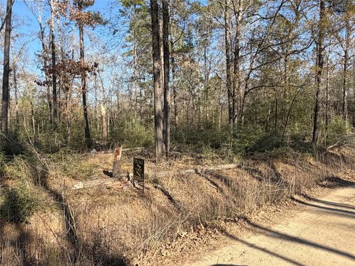 TBD Wild Bird Lane, Livingston, TX, 77351 | Card Image