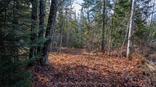 00 Highway 60 Highway, Madawaska Valley, ON, K0J1B0 | Card Image