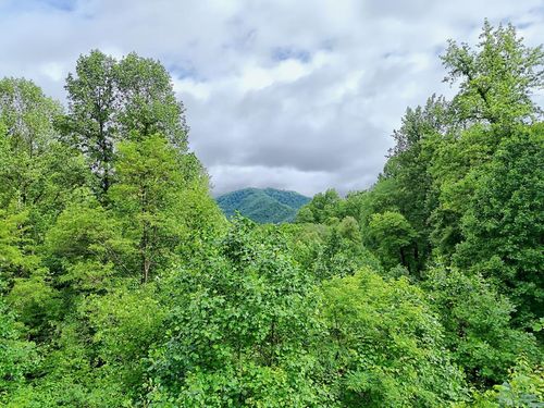 L2 Georgianna Ln, Bryson City, NC, 28713 | Card Image
