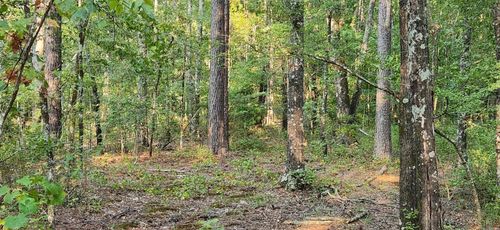 000 Alpine Rd, Star City, AR, 71667 | Card Image