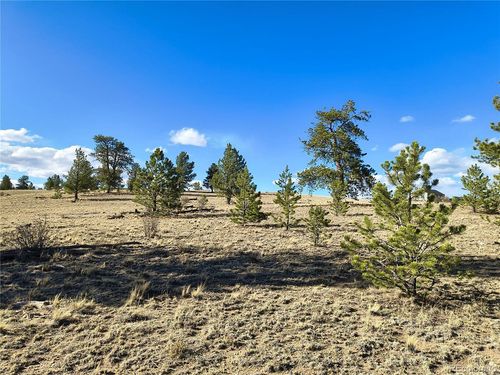 415 Olympic Cir, HARTSEL, CO, 80449 | Card Image
