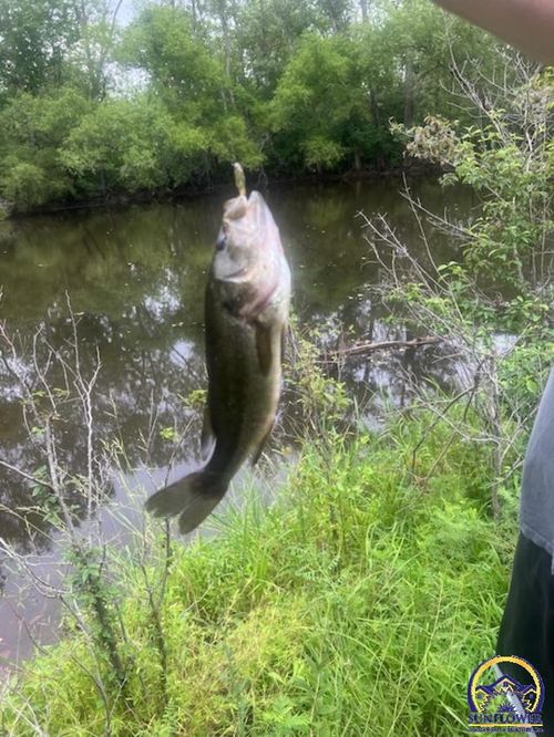 9020 Sw Wanamaker Rd, Wakarusa, KS, 66546-9694 | Card Image