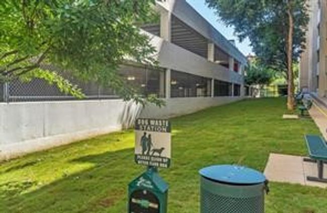 Pet Dog Park Area | Image 22