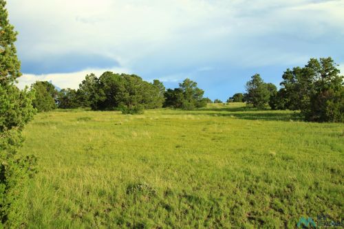 51 Hide Away, Quemado, NM, 87829 | Card Image
