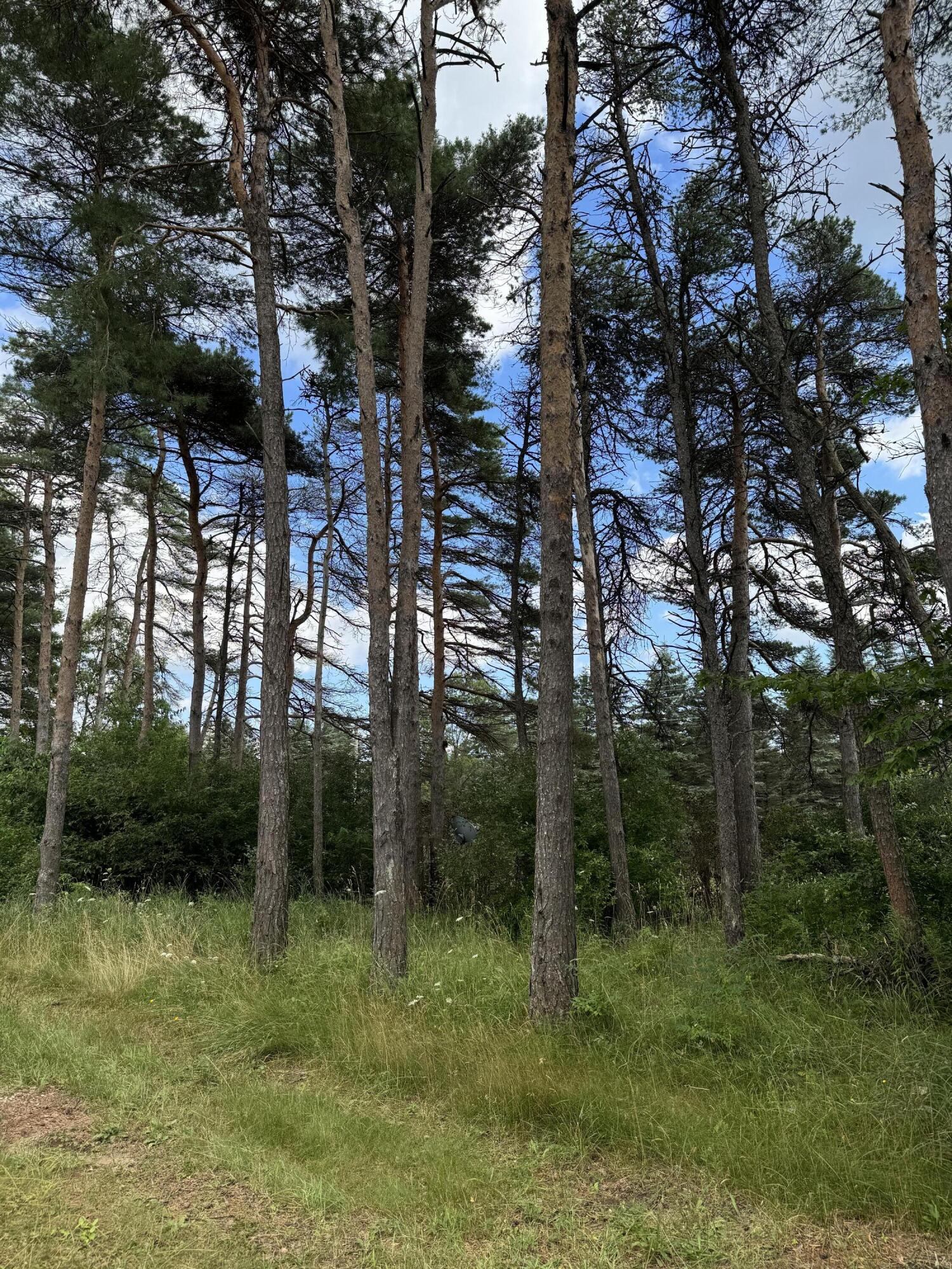 14 Mile Rd, Paris, MI 49338 #1
