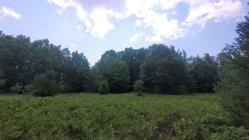 Parcel D Lund, Springfield Township, MI, 49633 | Card Image