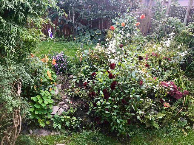 View of yard with fence | Image 33