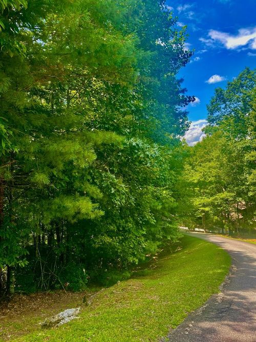 LOT22 Bryant Cove Rd, Blairsville, GA, 30512 | Card Image