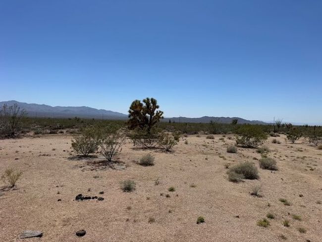 View | Image 5