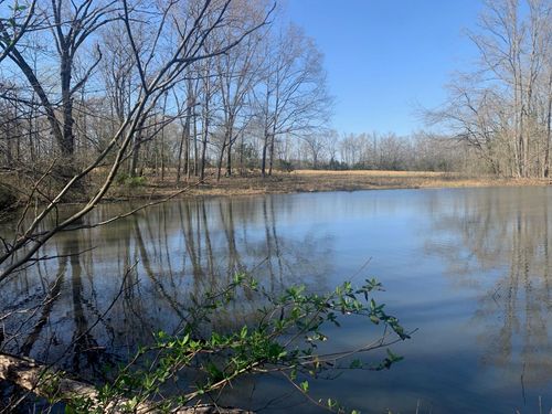 00 57 Hwy, Michie, TN, 38357 | Card Image