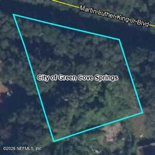 0 Martin Luther King Jr Blvd, Green Cove Springs, FL, 32043 | Card Image
