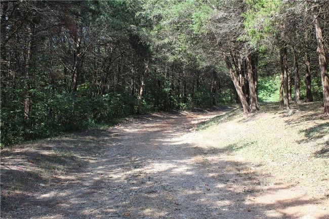 506 County Road 6411, House other with 3 bedrooms, 2 bathrooms and null parking in Green Forest AR | Image 9