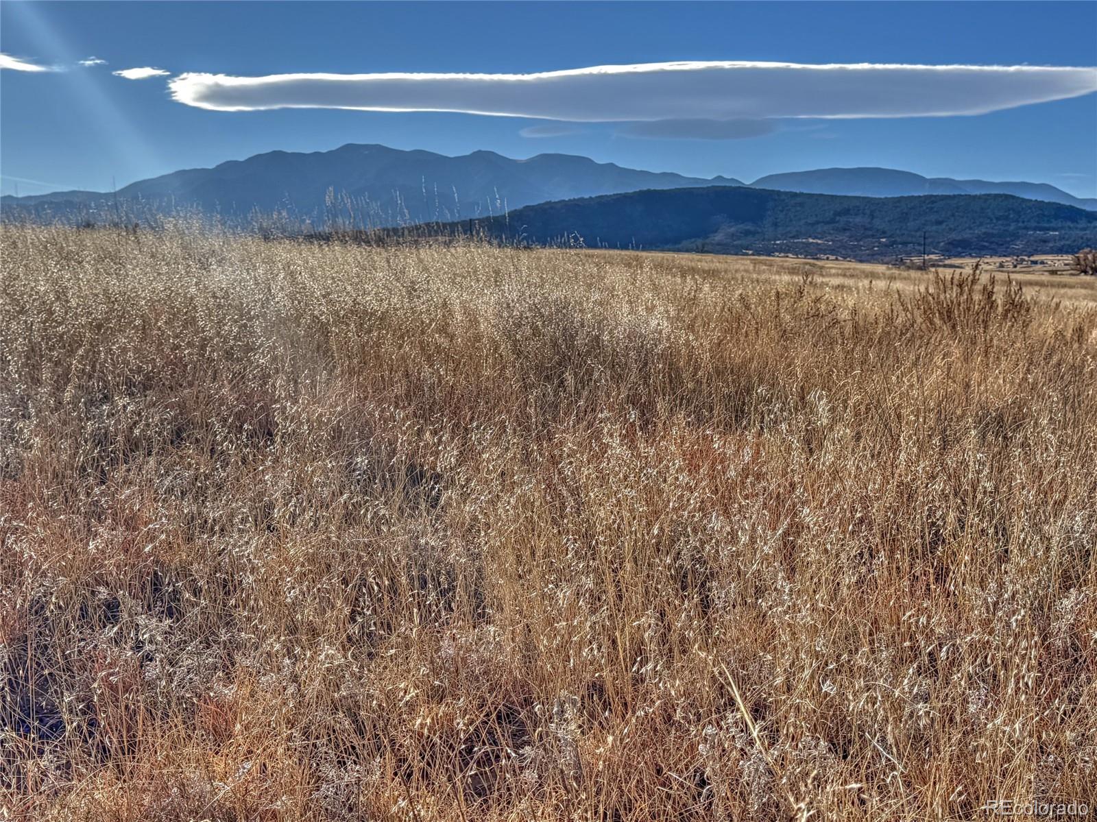 Land in Colorado City