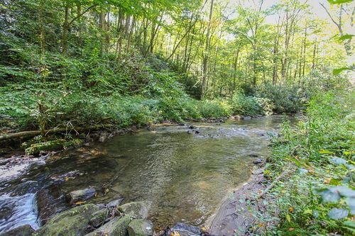 9765 Little Snowbird Rd, Robbinsville, NC, 28771 | Card Image