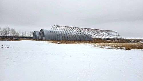 {{alt}} | Card Image