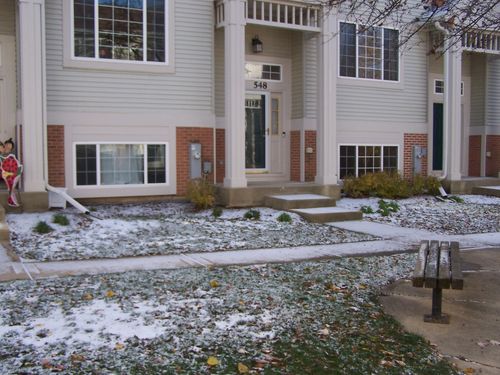 548-548 New Haven Dr, Cary, IL, 60013-1806 | Card Image