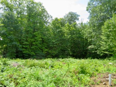 Lot 2 Mine Road, Home with 0 bedrooms, 0 bathrooms and null parking in Westhampton MA | Image 3