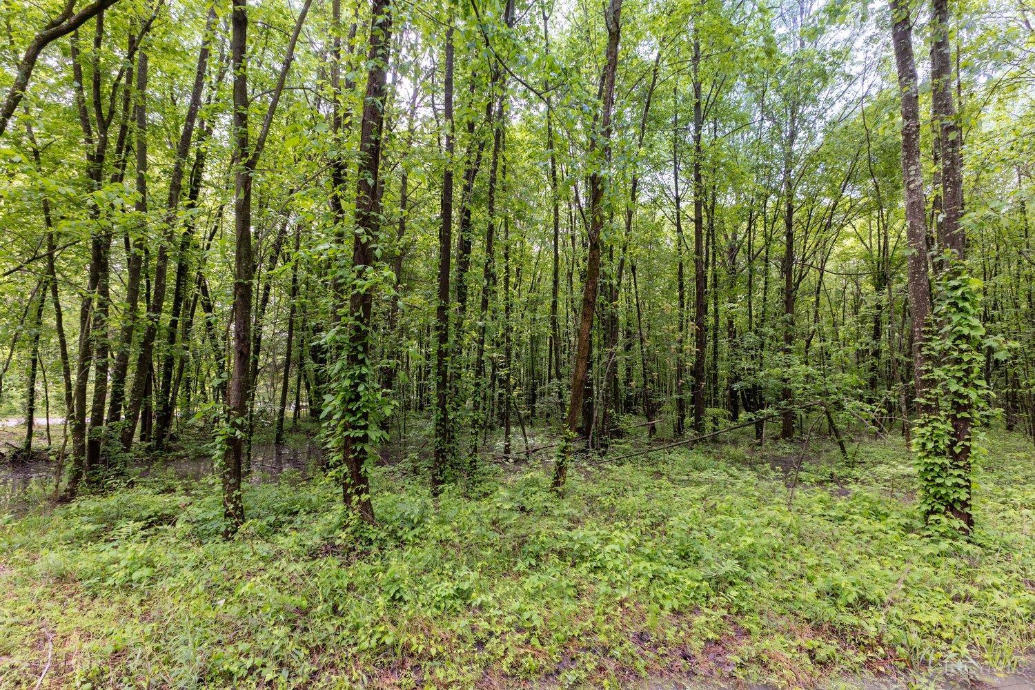Land in Stonelick Twp 3