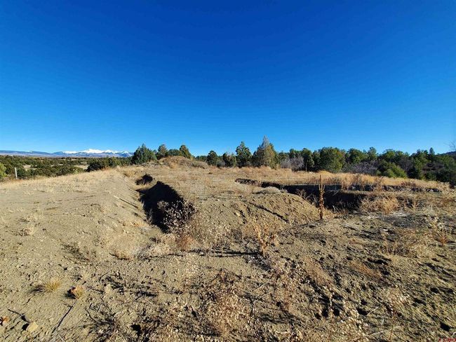 13989 Road 35.6, Home with 0 bedrooms, 0 bathrooms and null parking in Mancos CO | Image 20