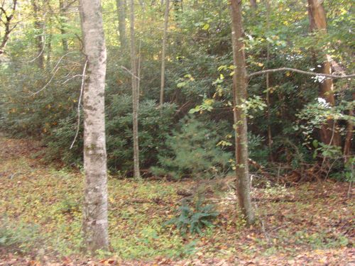 TBD Beaver Trail, Fancy Gap, VA, 24328 | Card Image