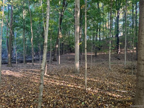 VL Rock Valley Road, Dryden Township, MI, 48455 | Card Image