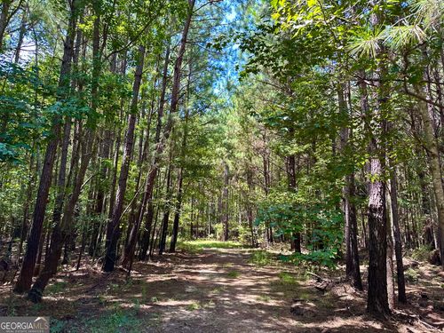 0 S Highway 19, Lumber City, GA, 31549 | Card Image