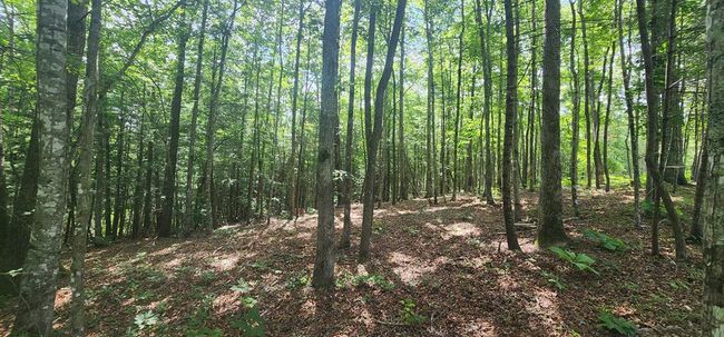 20 Bluff View Loop, Home with 0 bedrooms, 0 bathrooms and null parking in Allardt TN | Image 8