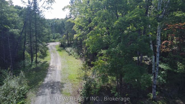 1173 Fortesque Lake Rd, Home with 0 bedrooms, 0 bathrooms and 5 parking in Gooderham ON | Image 15