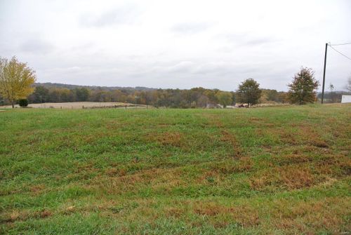 0 Lot 24 Circle Drive, St Mary, MO, 63673 | Card Image