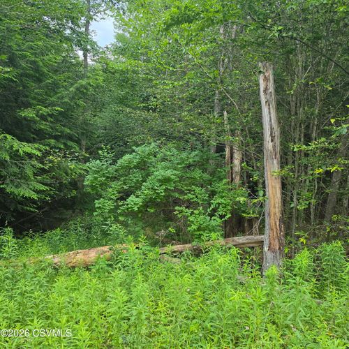 LOT 33 Hilary Ln, Dushore, PA, 18614 | Card Image