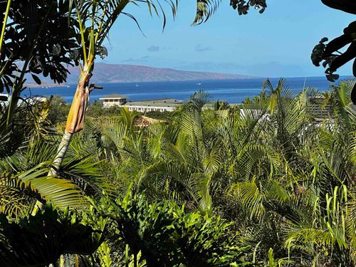 203-10 Wailea Ekolu Pl, Kihei, HI, 96753-9501 | Card Image
