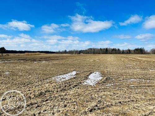 VL North Road, Clyde Township, MI, 48049 | Card Image