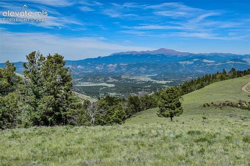 000 Bear Cat Road, Guffey, CO, 80820 | Card Image