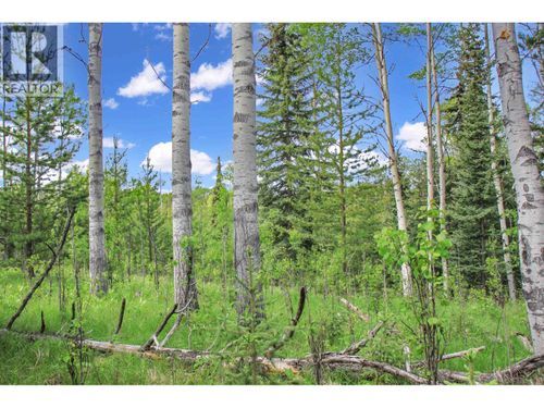 prop-LOT 19 Brown Road, Bridge Lake, BC, V0K1E0 | Card Image