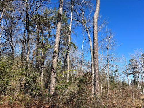 000 Pine Valley Dr, Shepherd, TX, 77371 | Card Image