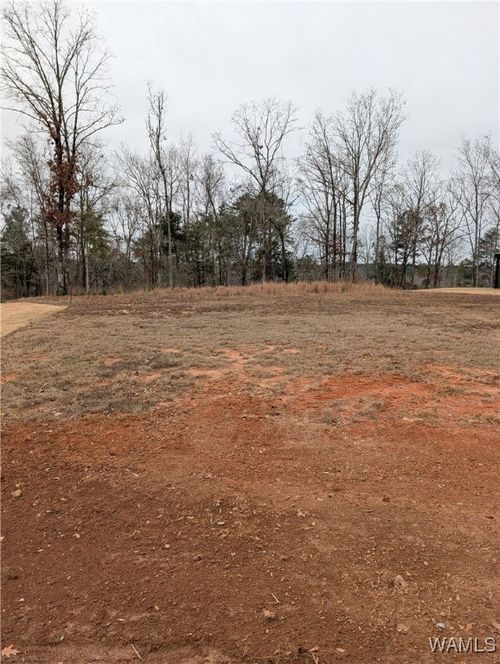 13928 Watercolor Pt, Northport, AL, 35475-0027 | Card Image