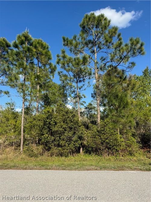 TBD Galapagos Avenue Ne, Lake Placid, FL, 33852 | Card Image