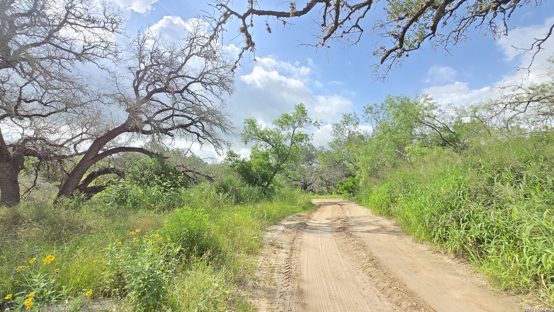 Residential in Poteet 5