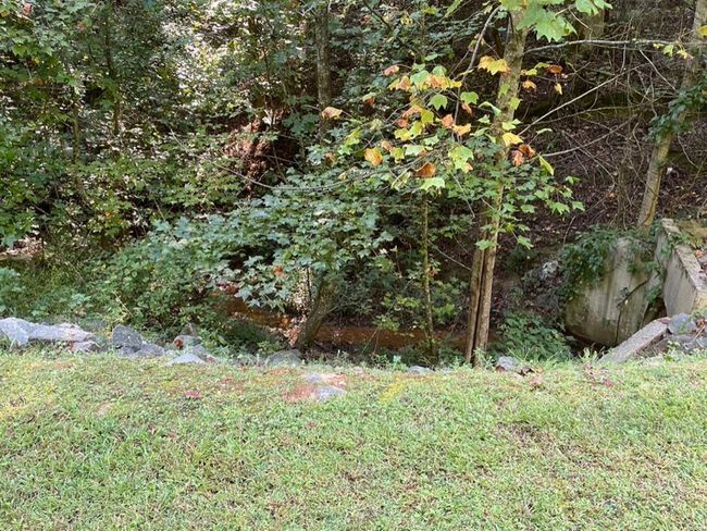 76 Tally Cove Rd, Home with 0 bedrooms, 0 bathrooms and null parking in Jasper GA | Image 21