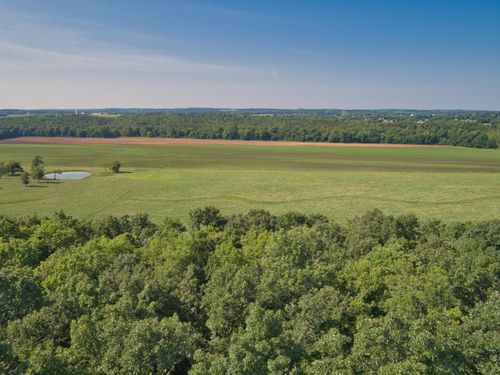 000 E 517th Rd, Half Way, MO, 65663 | Card Image