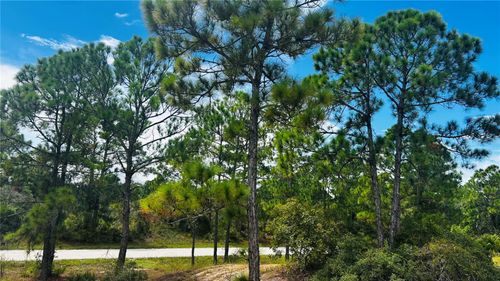 486 Dreamland Dr, Lake Placid, FL, 33852 | Card Image