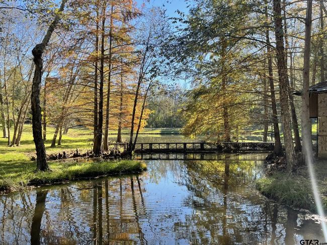 22233 County Road 223, House other with 4 bedrooms, 3 bathrooms and null parking in Arp TX | Image 7