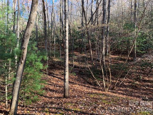 1-TBD (Lot 1) Dugger Firetower Road, Lenoir, NC, 28645 | Card Image