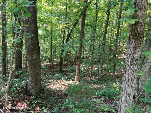 Lot 1 Tumbling Run Rd, Maynardville, TN, 37807 | Card Image