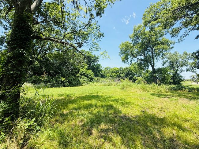 View of undeveloped land | Image 18