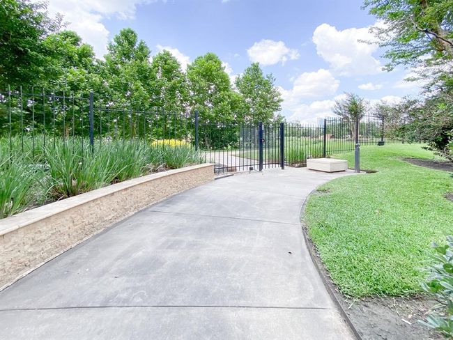 Walking trail leads to the bayou | Image 23