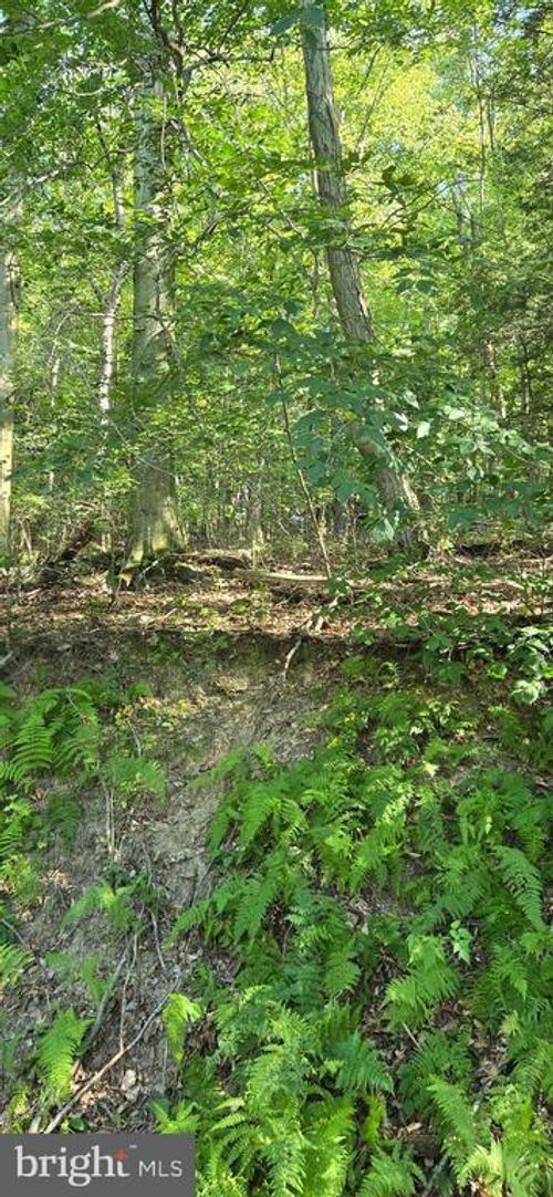 0 Ridge Rd, Cumbola, PA, 17930 | Card Image