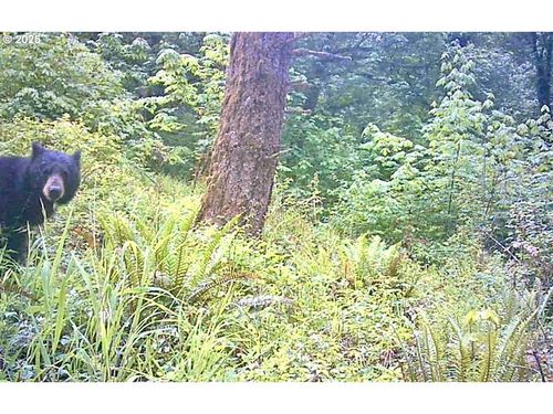 2678 Drift Creek Rd Ne, Silverton, OR, 97381-9588 | Card Image